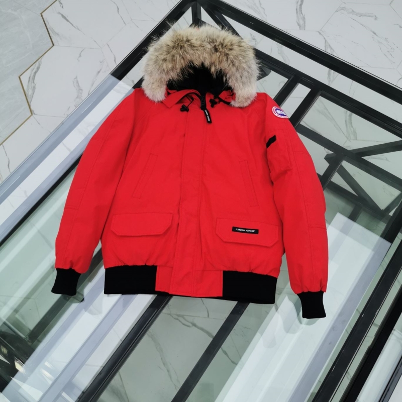 Moncler Down Coat